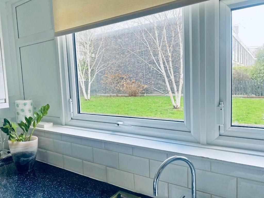 Albert Bridge Spacious Double Room London Eksteriør billede